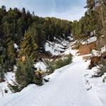 Durch den friedvollen Nadelwald in Richtung Kreuztal