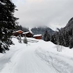 Gallfallalm im Karbachtal