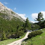 Auf dem Weg Nr. 11 in Richtung Limosee