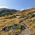 Der letzte Teil des Weges führt durch sanfte Bergwiesen