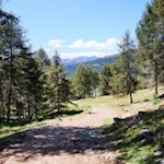 Sanft windet sich der Weg zur Sunnolm