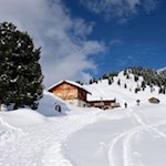 So einige Rodler wandern noch zur höher gelegenen Hütte hoch, um Schwung für die Abfahrt zu holen