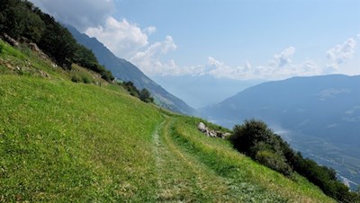 Unsere Wanderung führt durch blühende Bergwiesen 
