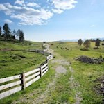 Unterhalb der Starkenfeldhütte zweigt der Weg Nr. 67 nach Ellen ab