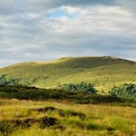 Neben uns erhebt sich der Maurerberg