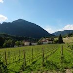 Mitten im Grünen, das Augustiner Chorherrenstift Neustift