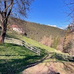 Durch Wiesen und Wälder zum Gasthof Locher