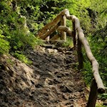 Der Geologensteig führt im ziemlich steilen Anstieg auf die Seiser Alm