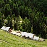 Inmitten blumenfroher Bergwiesen lädt die Putzalm zur Einkehr