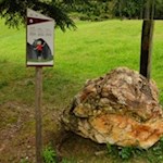 Längs des Valser Rundweges laden Stationen zu sanfter Bewegung an