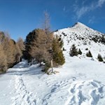 Zu Füßen des Rudlhorn