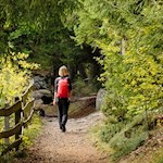 Herbstwanderung auf dem Ritten nach Bad Siess