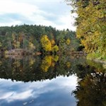 Der-Wolfsgrubener-See-zählt-zu-den-saubersten-Badeseen-Italiens