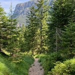 Ausblick auf den Schlern und die Hammerwand unterhalb der Tschafonhütte