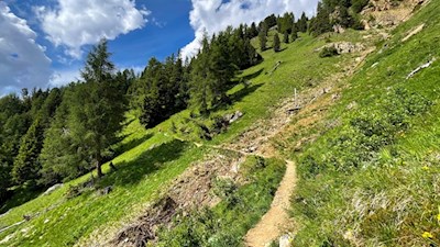 Der Weg zur Paolina Hütte quert Wiesen- und Waldhänge