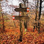 Wir folgen dem Kalterer Höhenweg bis nach Altenburg