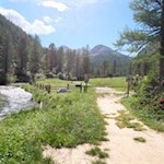 Dietro il limite del bosco, si aprono ampi prati alpini