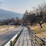 Hinab zum Buschenschank Moar zu Viersch