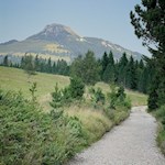 Sentiero malga d'Ora con vista sul Corno Bianco