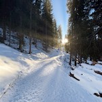 Durch den lichten Wald zum Karersee