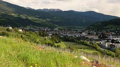 Blick auf die altehrwürdige Bischofsstadt Brixen 