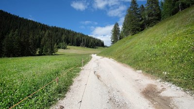 Anfangs folgt die Wanderung einem breiten Schotterweg