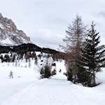 Winterwanderung zur Wallfahrtskirche Heilig Kreuz