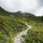 Durch idyllische Heiden zu den Koflerseen