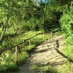 Im sanften Anstieg in Richtung Raas