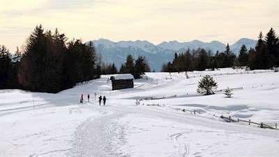Von Herol auf die Rodenecker Alm