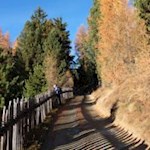 Herbststimmung entlang der Lüsner Almwege