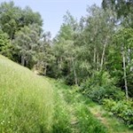 Der letzte Anstieg führt durch malerische Wiesen und Wälder