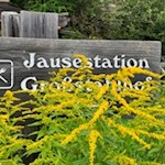 Die Wanderung zum Großstahlhof ist gut ausgeschildert