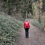 Wanderung Frühlingstal
