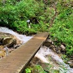 Über den Berglerbach zur Puntleider Seealm