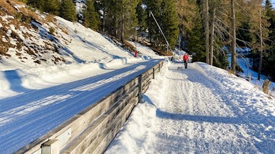 Parallel zur Rodelbahn führt der Wanderweg zur Epircher Laner Alm