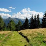 Der sanfte Weg zur Vallmingalm