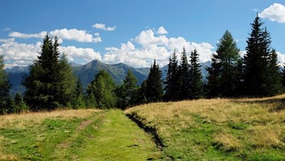 Der sanfte Weg zur Vallmingalm