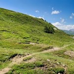 Über sanft gewellte Almmatten auf den Sattelberg