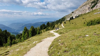 Auf dem Erlebnisweg zurück nach Oberholz