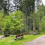 Ein breiter Weg führt durch die Kinderwelt