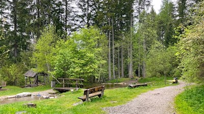 Ein breiter Weg führt durch die Kinderwelt