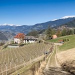 In idyllischer Lage präsentiert sich der Ansitz Fonteklaus