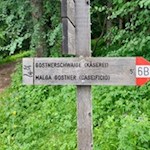 Abzweigung zur nunmehr nahen Gostner Schwaige