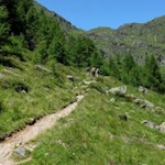 Hinter der Wieserhütte