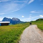Durch die idyllischen Almwiesen der Seiser Alm zur Laurinhütte