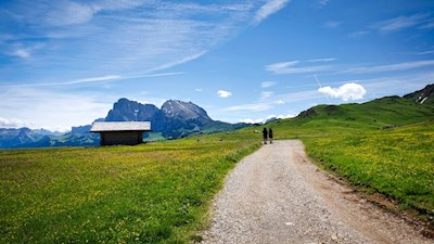 Durch die idyllischen Almwiesen der Seiser Alm zur Laurinhütte