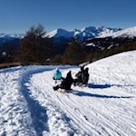 In flotten Schwüngen zurück nach Reinswald