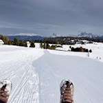 Rodelbahn zur Rinderplatz Hütte
