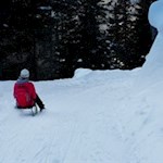 Rodelfahrt vom Staller Sattel